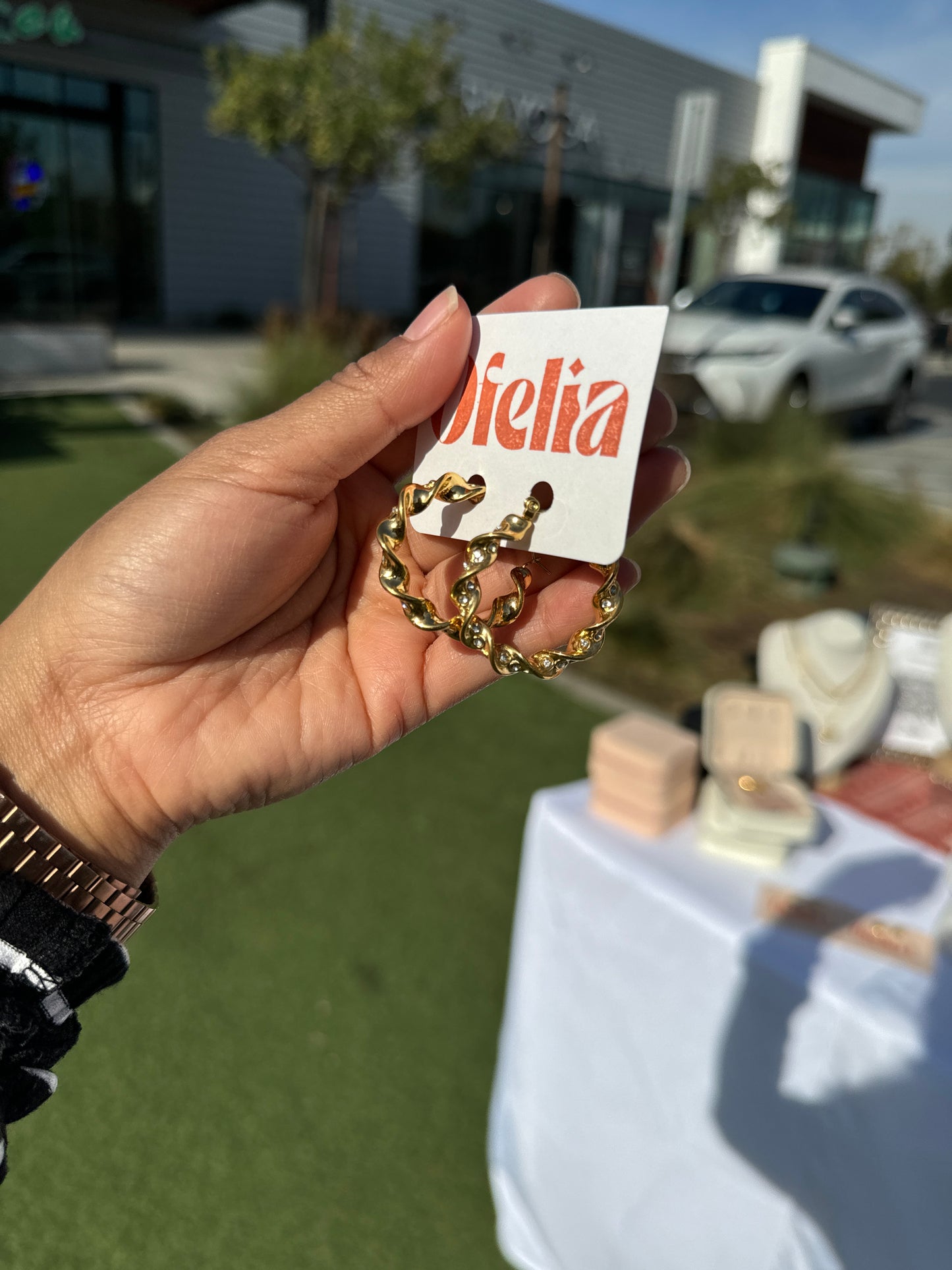 Gold and Diamond Hoops